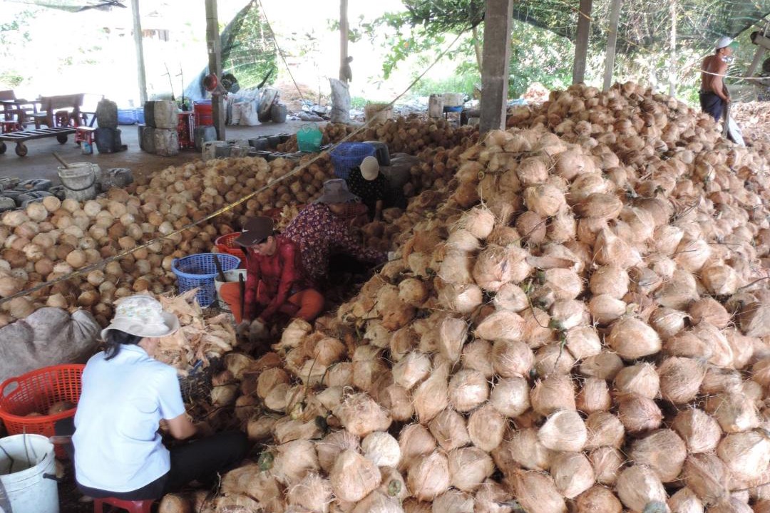 Photo of Others in Ben Tre