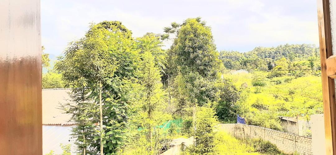 Photo of Others in Bac Ha