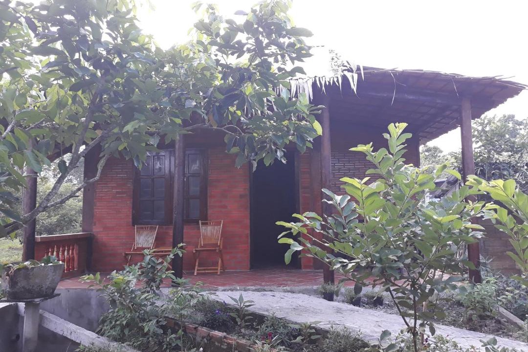 Photo of Others in Long Ho