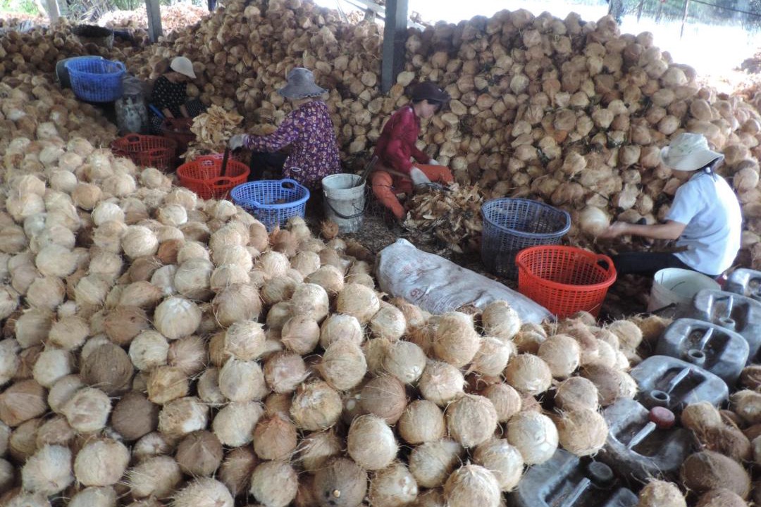 Photo of Others in Ben Tre