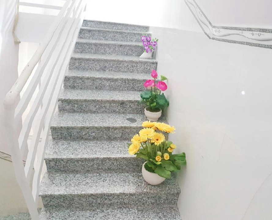 Photo of Others in Duong Dong