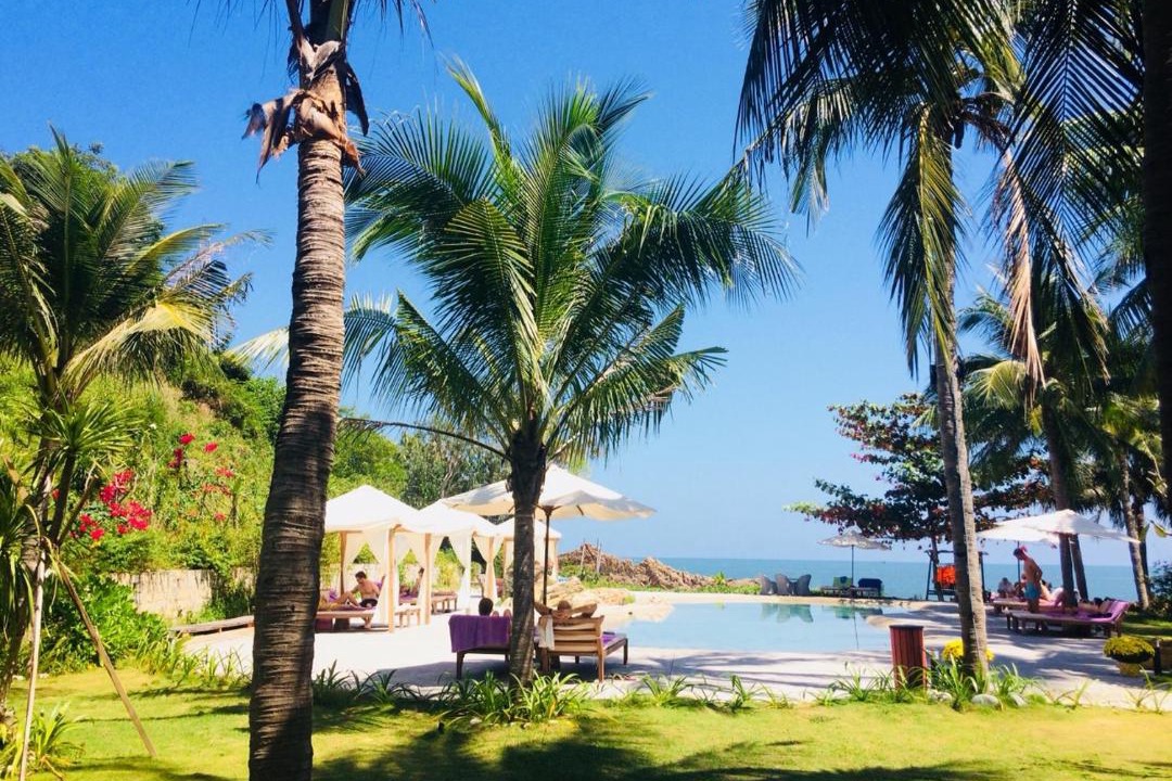 Photo of Others in Quy Nhon