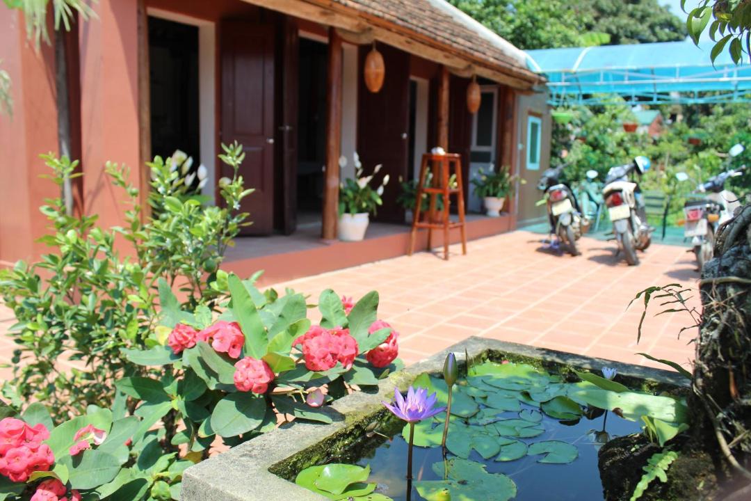 Photo of Others in Ninh Binh