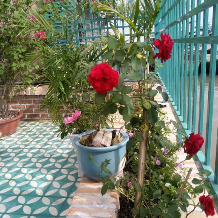 Photo of Others in Đong Hoa Hiep