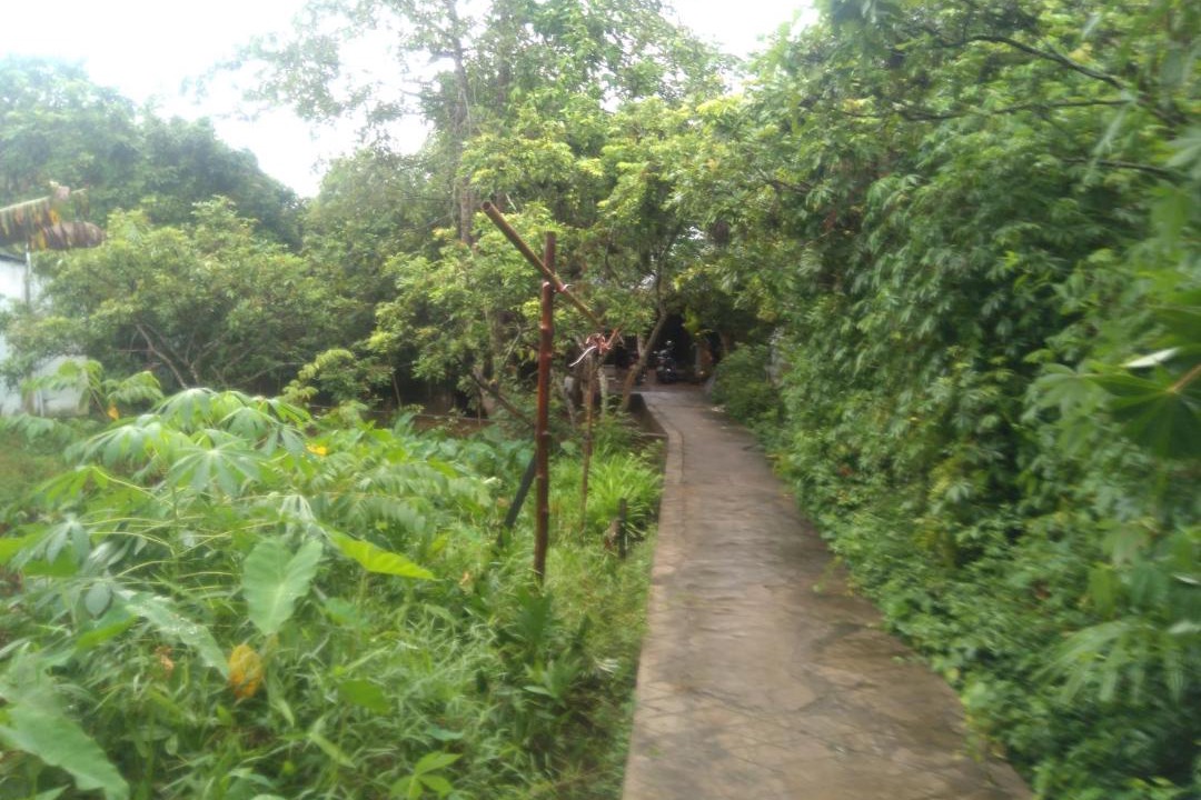 Photo of Others in Long Ho