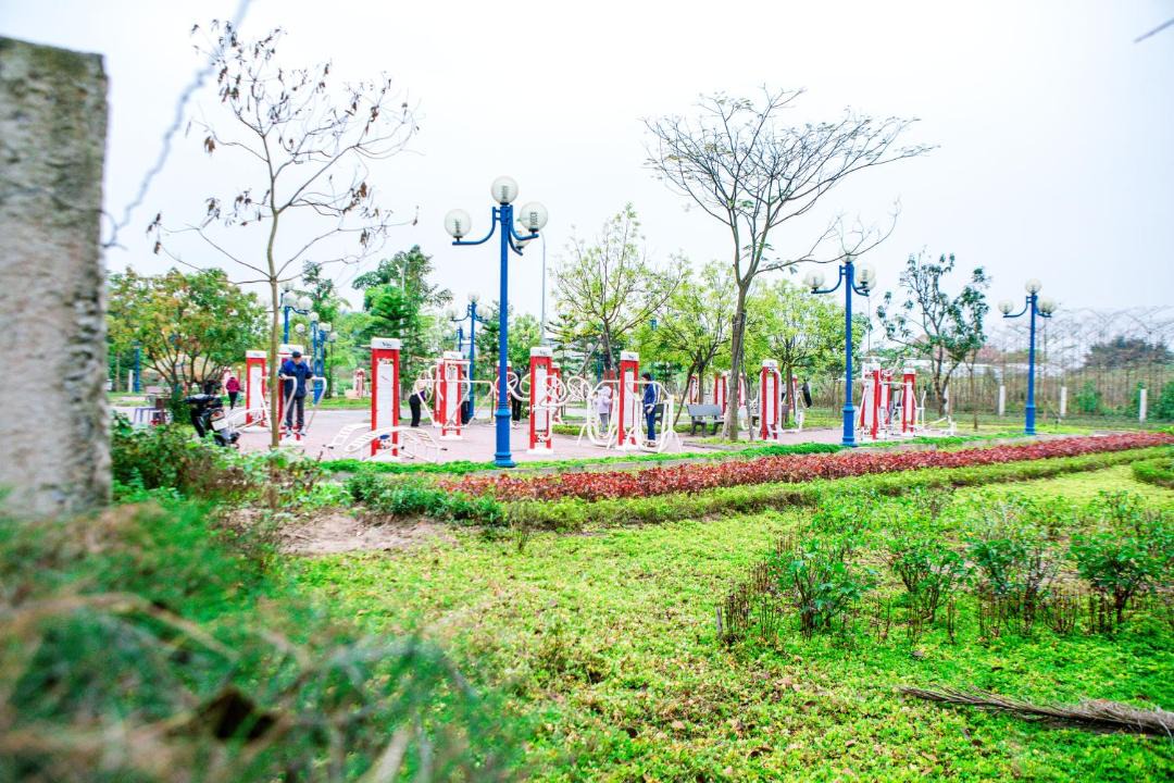 Photo of Others in Hai Duong
