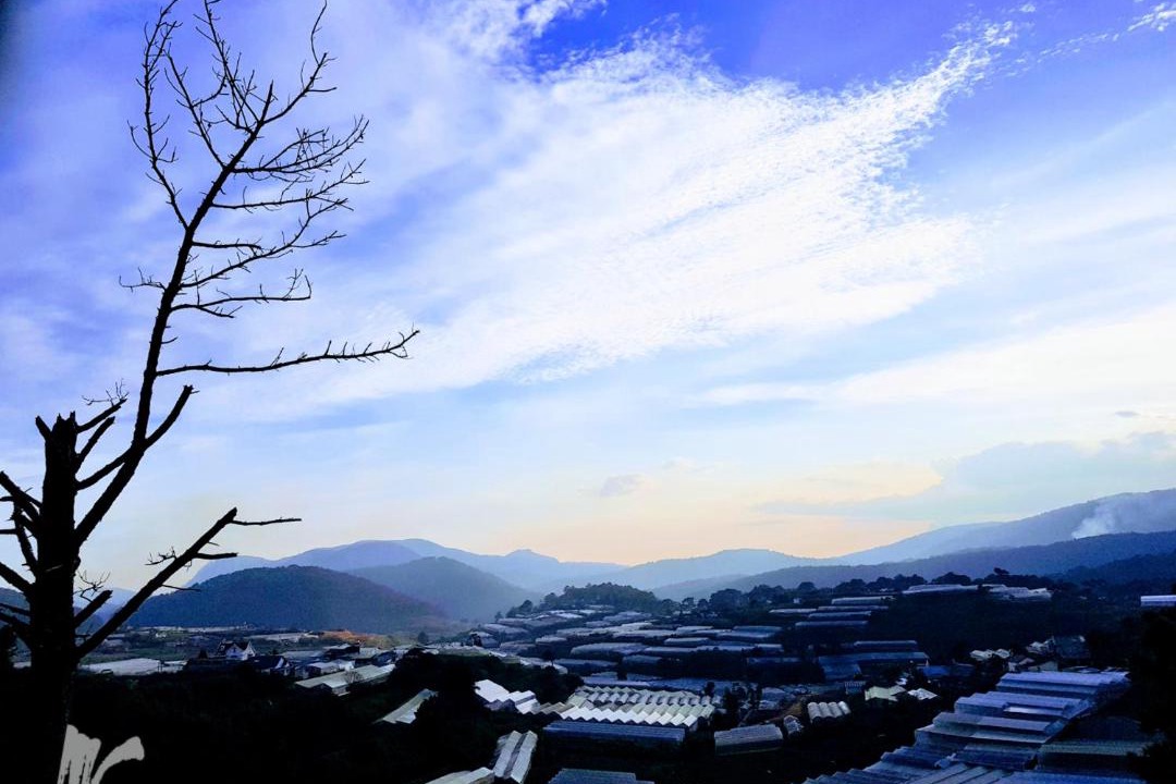Photo of Others in Da Lat