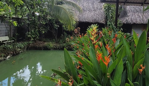 Traditional Double Room, Lake View