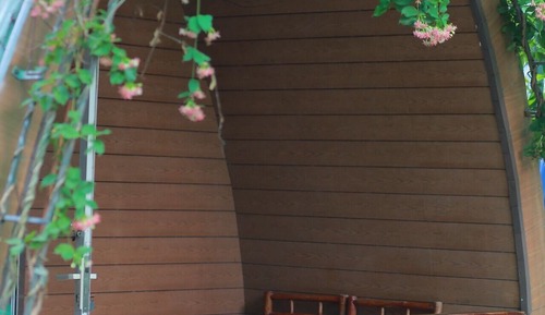 Basic Bungalow