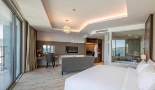 Executive Suite