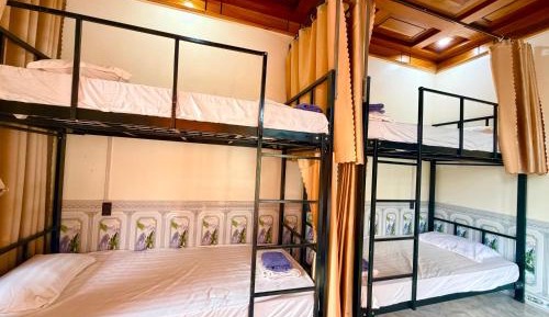6-Bed Mixed Dormitory Room