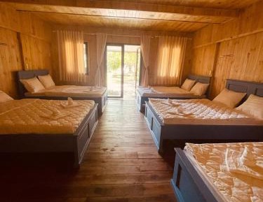 10-Bed Mixed Dormitory Room