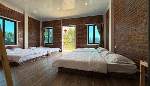 4-Bed Mixed Dormitory Room