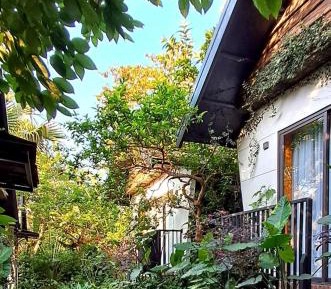 Deluxe Bungalow