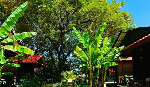 Bungalow with Garden View