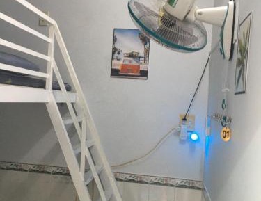 Bunk Bed in Mixed Dormitory Room