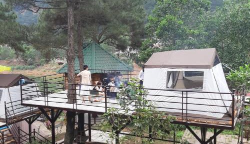 Tent