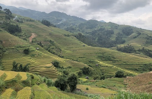 Mu Cang Chai Hotel | Do Gu Homestay