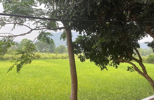 Phong Nha Resort | Retreat Bungalow